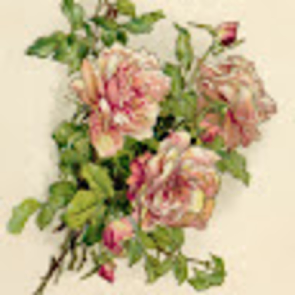 Meet your Posher, Glori